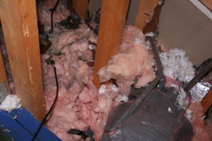 damaged insulation
