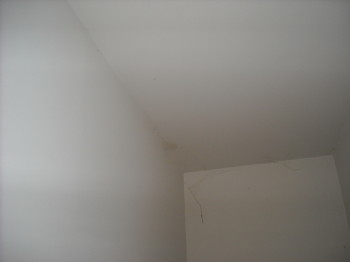 a picture that shows raccoon urine leaking through the ceiling from the attic