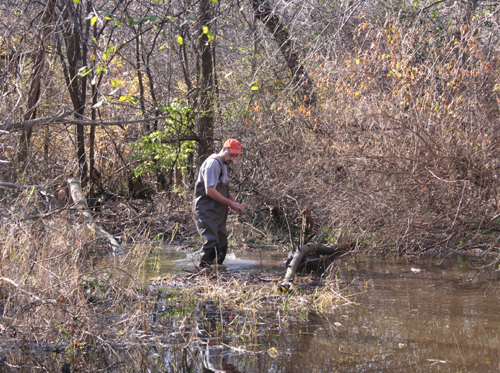 Brad inspecting Beaver Job