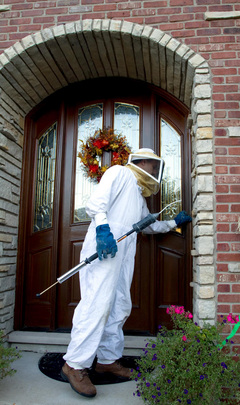 Brad getting ready to take care of bees as seen in Courier News article Sept. 2010