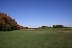 Golf COurse Grounds 12