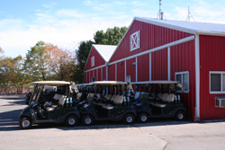 Golf Carts at one course