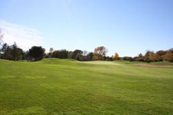 Golf Course Grounds 9