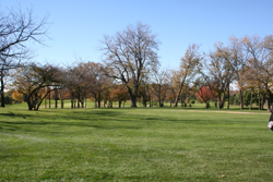Golf Course Grounds 7