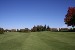 Gold Course Grounds 3